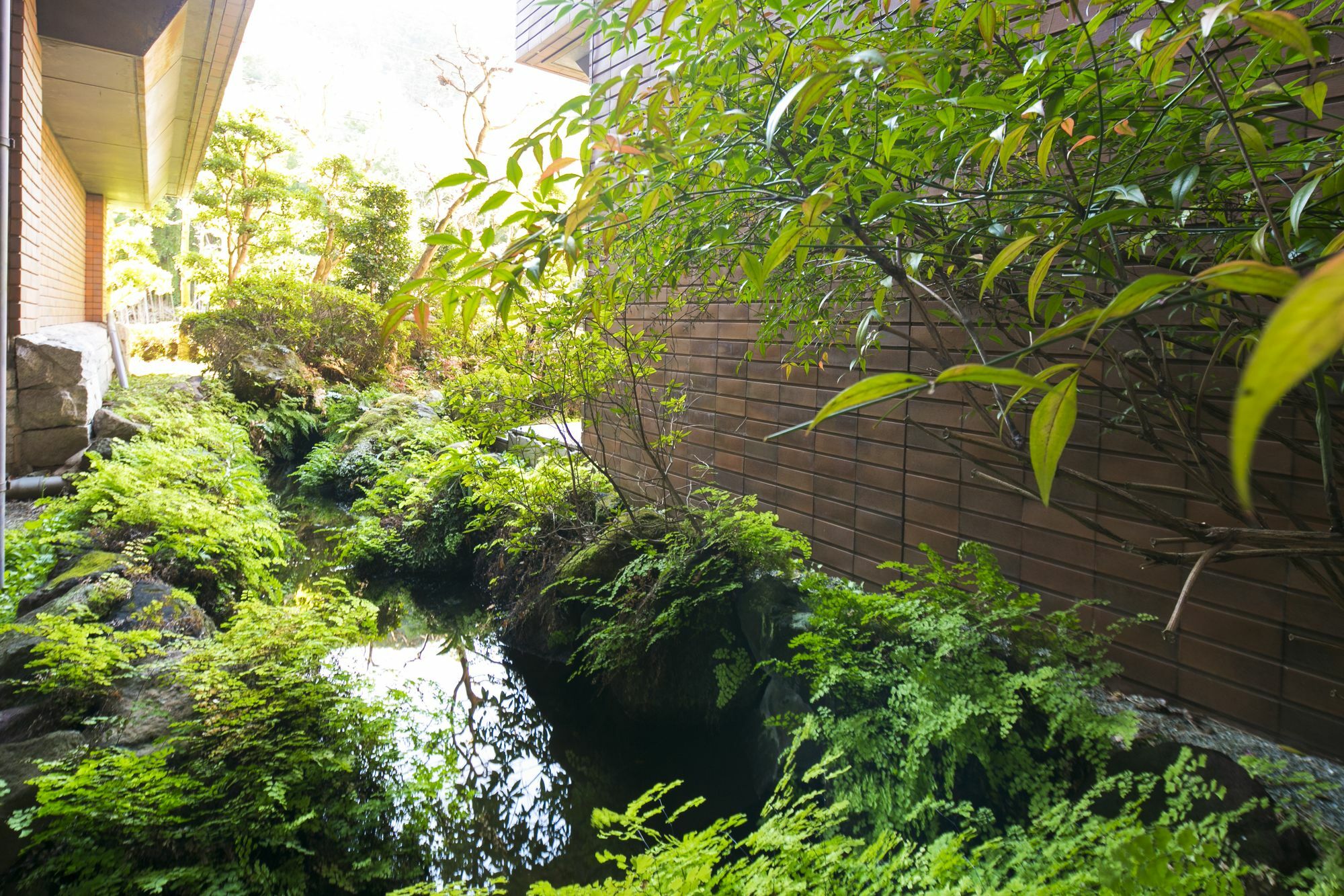 Yunosato Sugina Hotel Yugawara Exterior photo